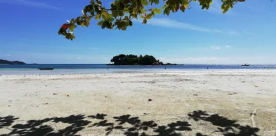Anse Volbert - Photo 4