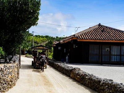 Taketomi - Photo 3