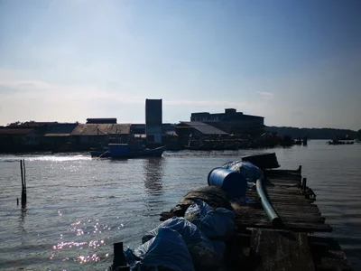 Kuala Sepetang - Photo 4