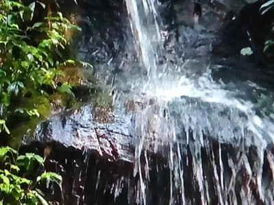 Jiang’an - Photo 3