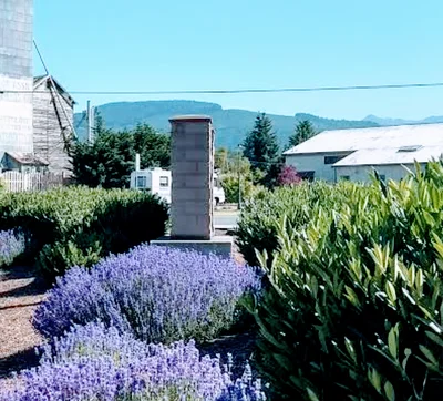 Sequim - Photo 5