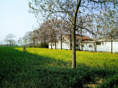 Xinmi - Photo 2