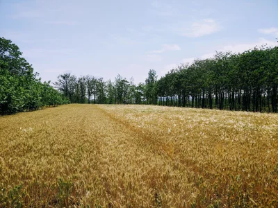 Xinmi - Photo 3