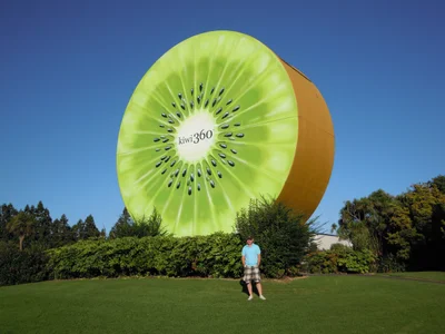 Te Puke - Photo 2