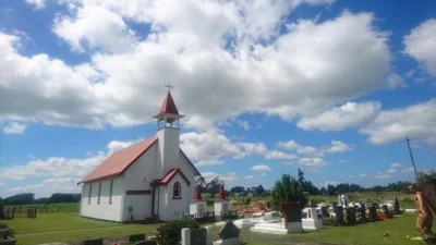 Te Puke - Photo 3