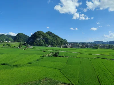 Pingba - Photo 2
