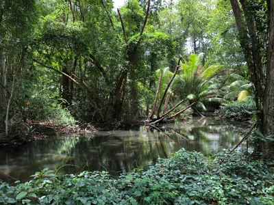 Quatre Bornes - Photo 2