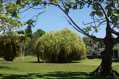 Santa Rita - Photo 3