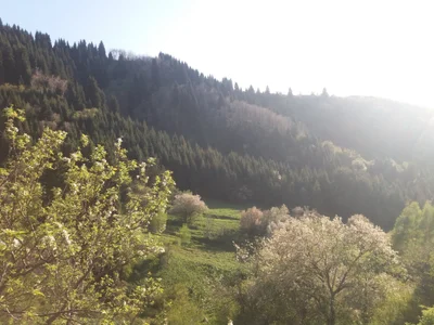 Besqaynar - Photo 2