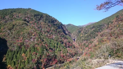 Kami - Photo 2