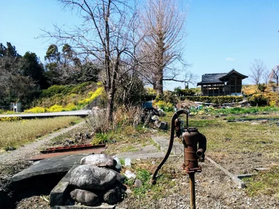 Kami - Photo 3