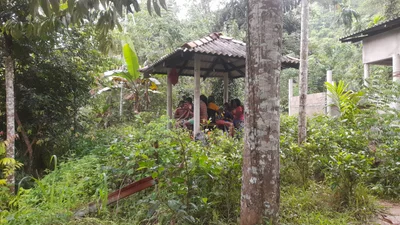 Dambadeniya - Photo 4