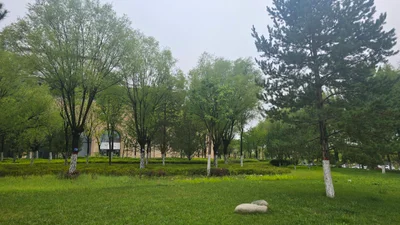 Yan'an - Photo 3