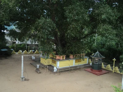 Thalathuoya - Photo 4