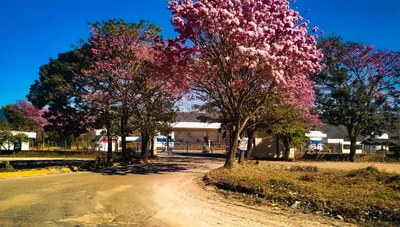 Villamontes - Photo 3