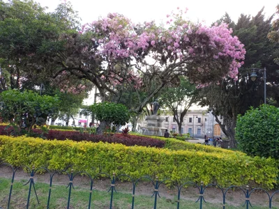 Ibarra - Photo 2