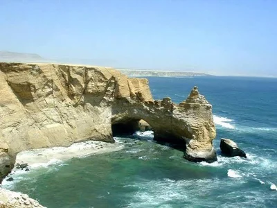 Pisco - Photo 5