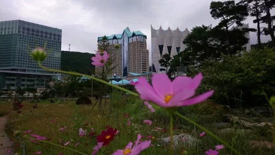Mudanjiang - Photo 3