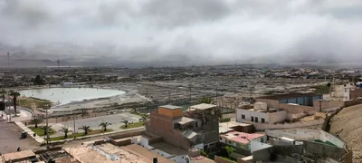 Chilca - Photo 4