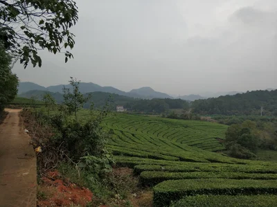 Yidu - Photo 3
