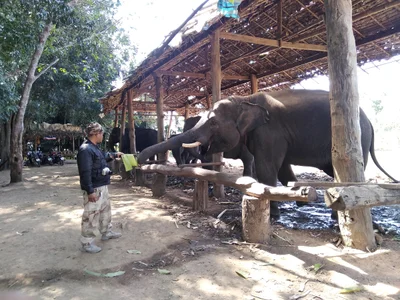 Phop Phra - Photo 3