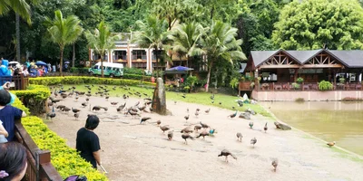 Jinghong City - Photo 3