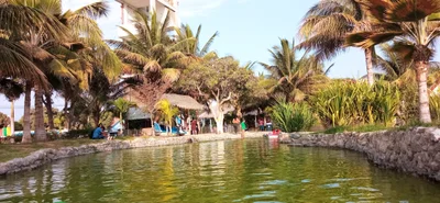 Chiclayo - Photo 3
