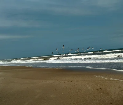 Punta del Diablo - Photo 2
