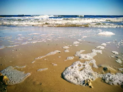 Costa Azul - Photo 2