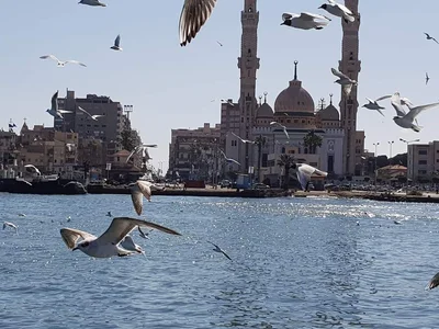 Port Said - Photo 3