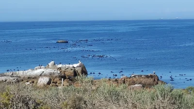 Saldanha Bay Local Municipality - Photo 2