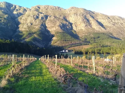 Stellenbosch Local Municipality - Photo 3