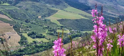 Stellenbosch Local Municipality - Photo 4