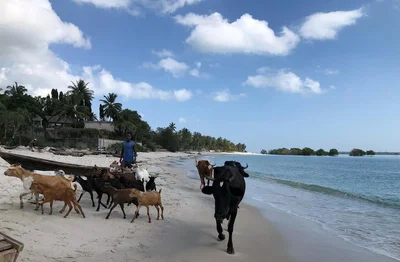 Dar es Salaam - Photo 5