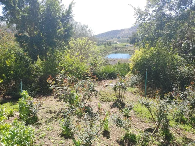 George Local Municipality - Photo 4