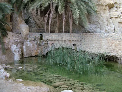 Tozeur - Photo 2