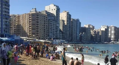 Alexandria - Photo 2