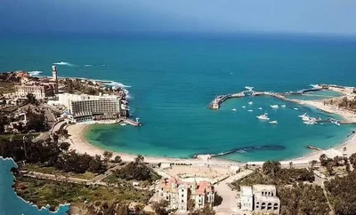Alexandria - Photo 3