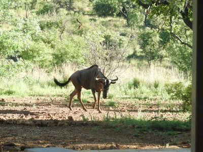 Bela Bela Local Municipality - Photo 4