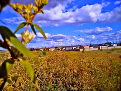 Emfuleni Local Municipality - Photo 3