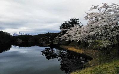 Nikaho - Photo 4