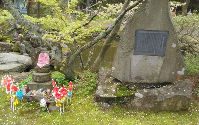 Nikaho - Photo 5