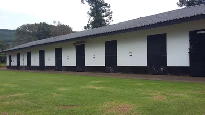 uMgeni Local Municipality - Photo 4
