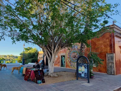 Todos Santos - Photo 4