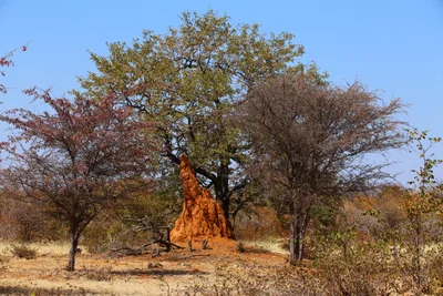 Opuwo - Photo 2