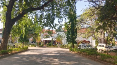 Tanga - Photo 3