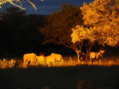 Otavi - Photo 2