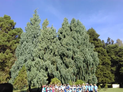 Baturiti - Photo 3