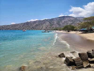 Komodo - Photo 2