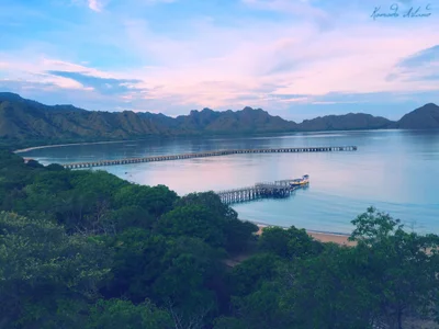 Komodo - Photo 3